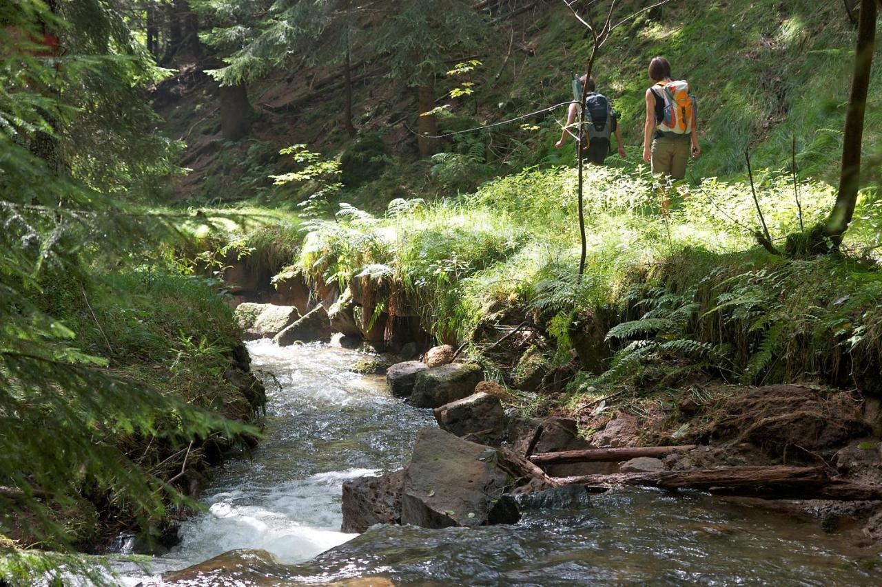 Hotel Fh Am Osterbrunnen Hinterhermsdorf Esterno foto